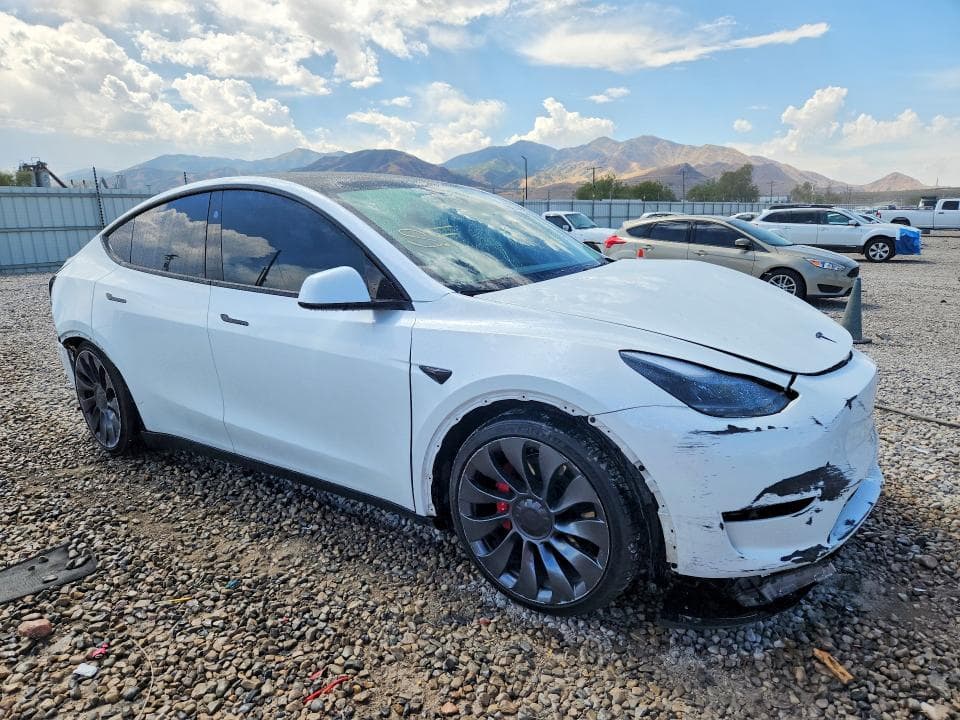 2023 TESLA MODEL Y 4
