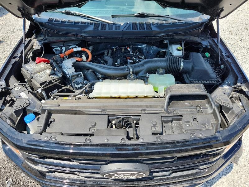 2025 FORD F150 XLT 11