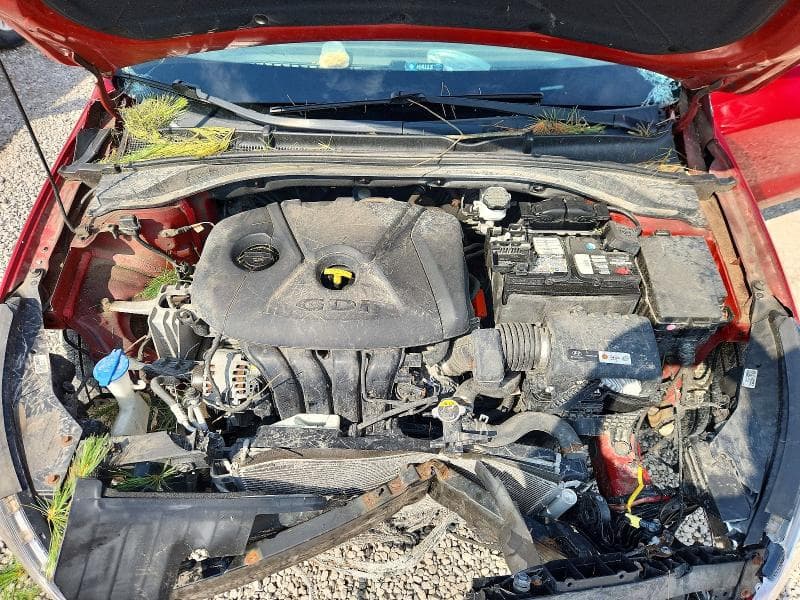 2018 HYUNDAI ELANTRA GT BASE 11
