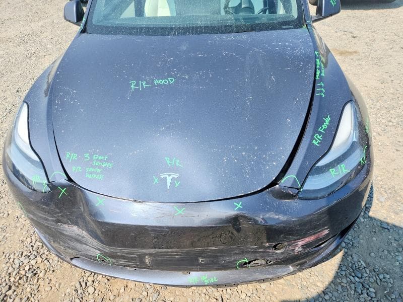 2020 TESLA MODEL Y 12