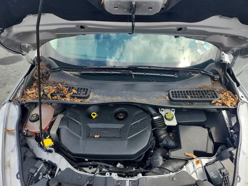 2019 FORD ESCAPE TITANIUM 12