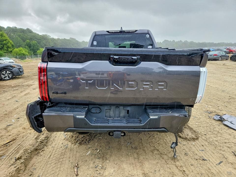 2024 TOYOTA TUNDRA PLATINUM 6