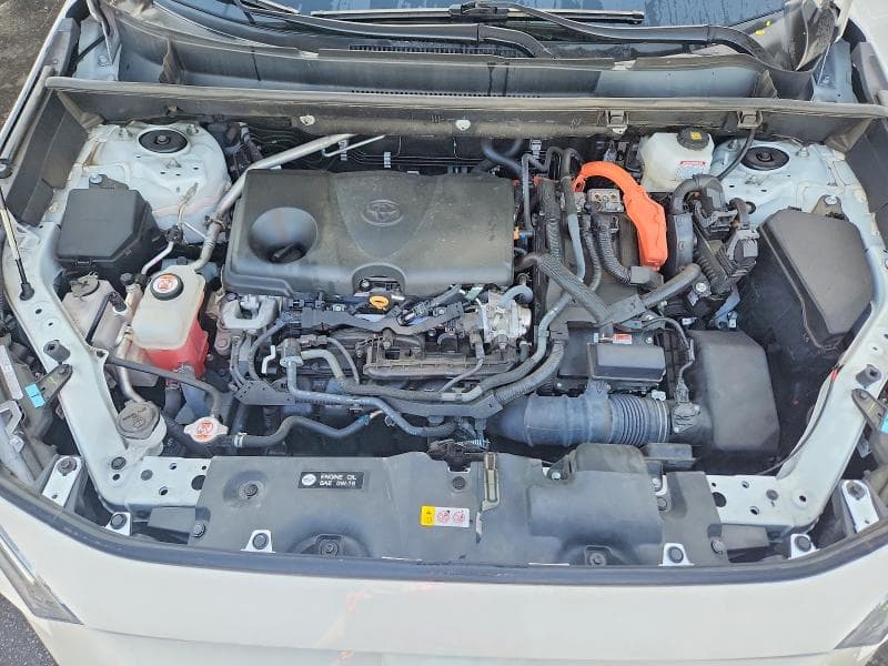 2023 TOYOTA RAV4 LE 12