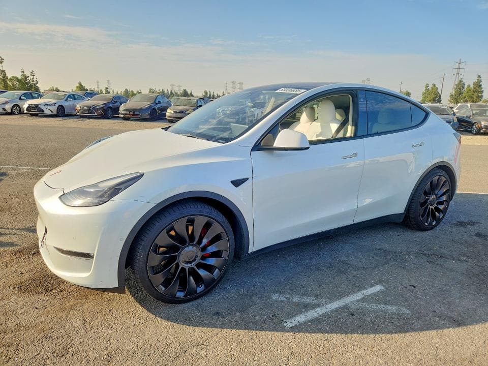 2022 TESLA MODEL Y - 1