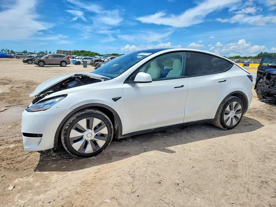 2023 TESLA MODEL Y - 1