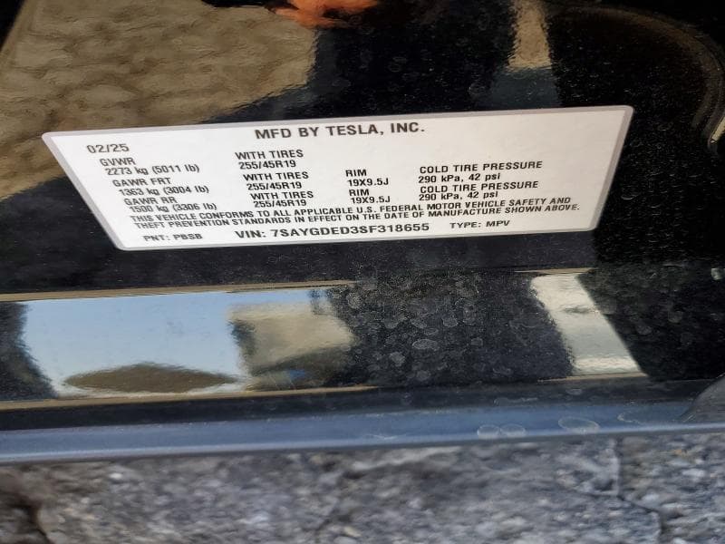 2025 TESLA MODEL Y 12