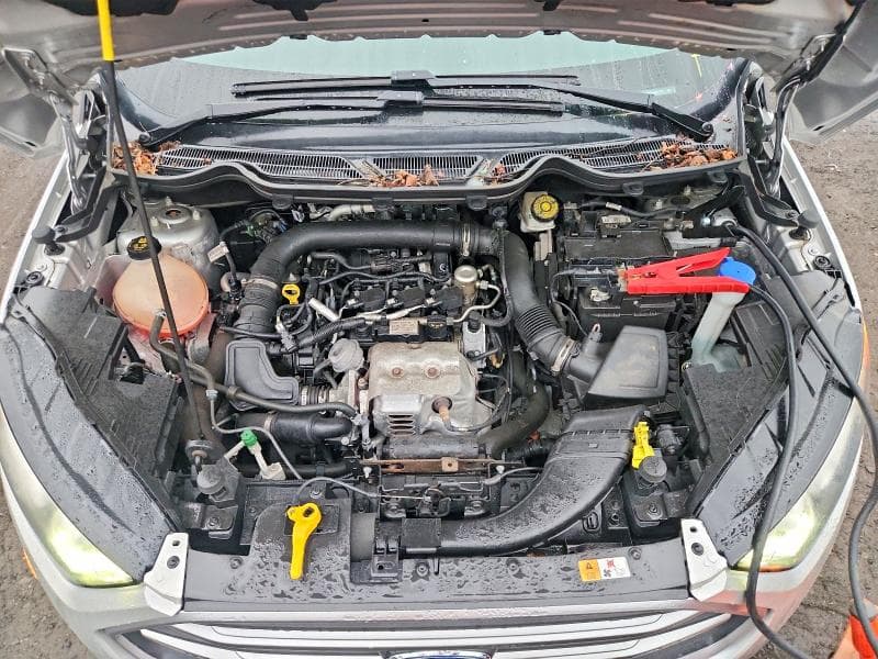2019 FORD ECOSPORT SE 12