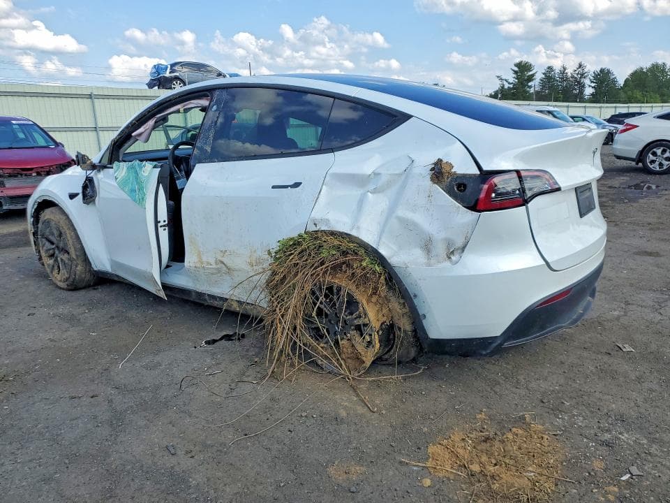 2024 TESLA MODEL Y 2