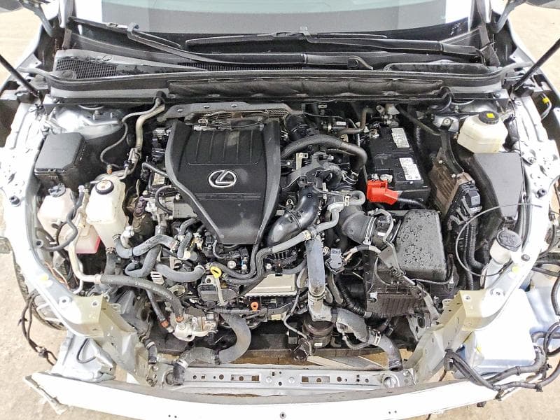 2024 LEXUS RX 350 F SPORT HANDLING 12