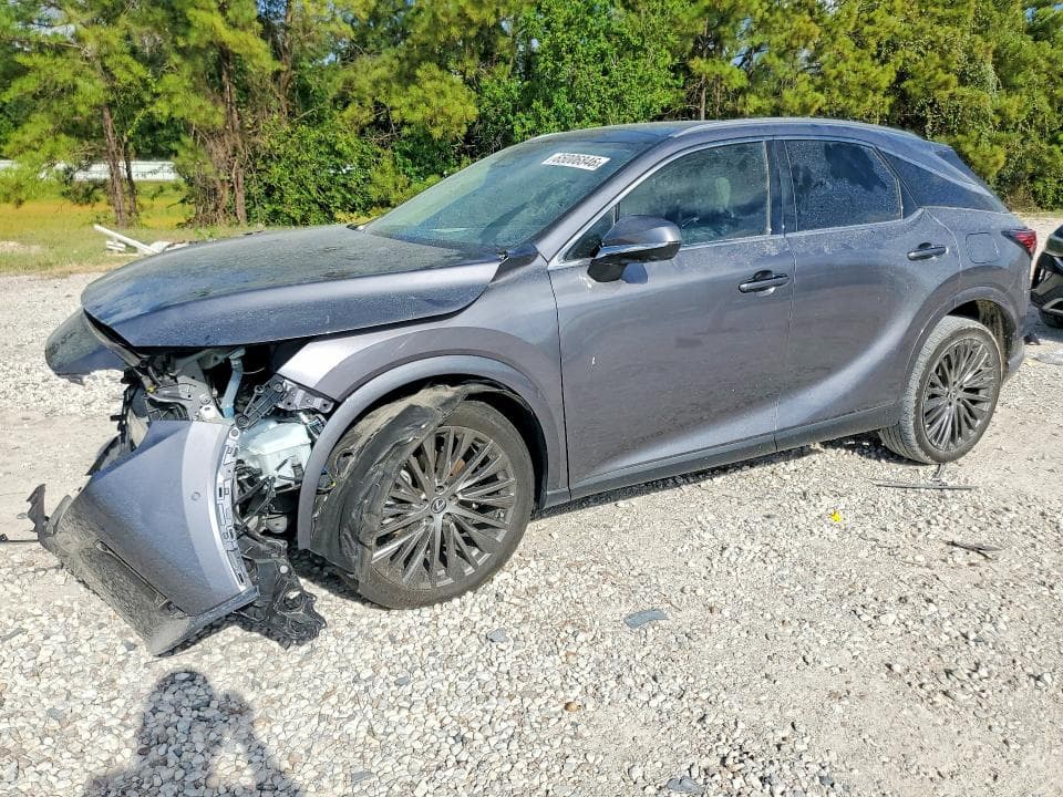 2023 LEXUS RX 350 LUXURY - 1
