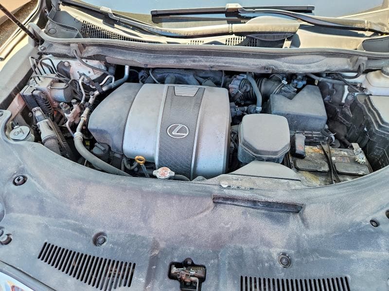 2020 LEXUS RX 350 12