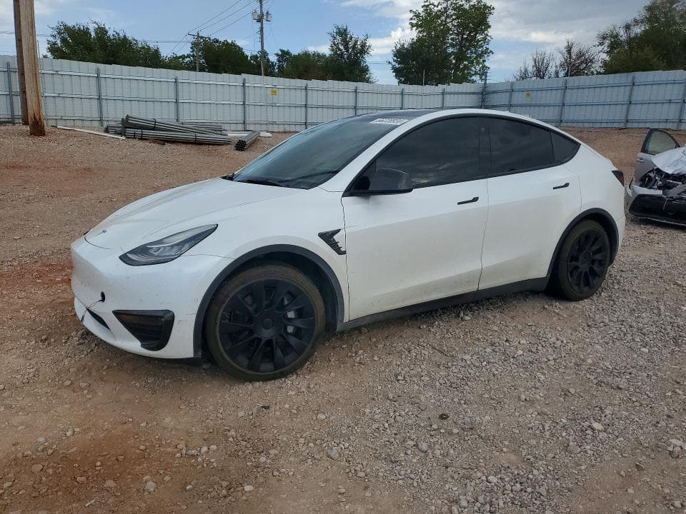 2021 TESLA MODEL Y - 1