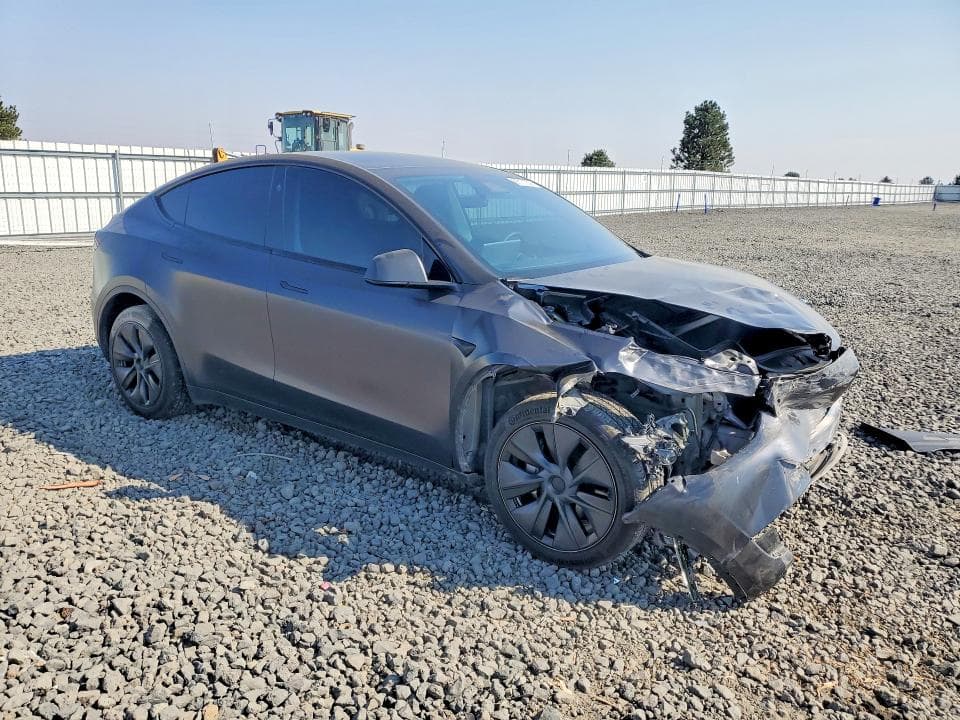 2024 TESLA MODEL Y 4