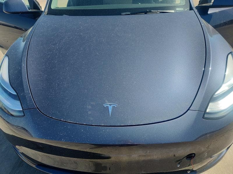 2023 TESLA MODEL Y 11