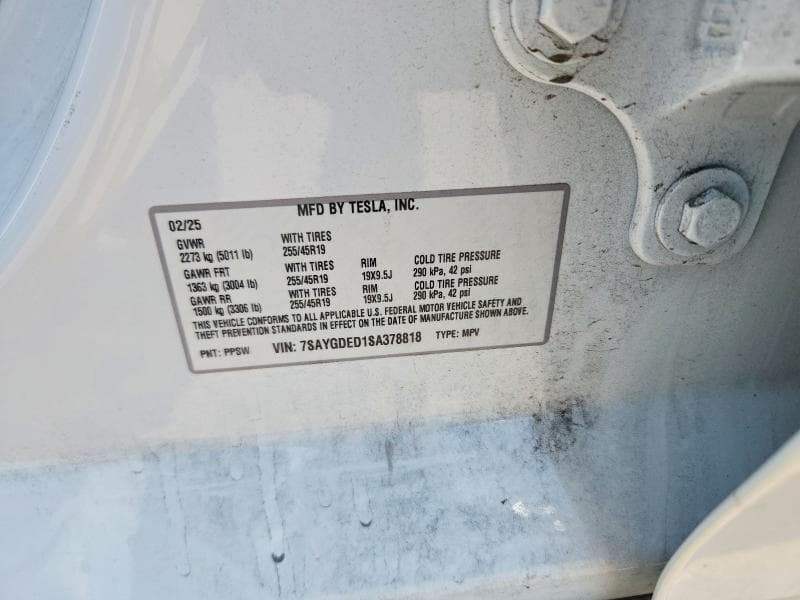 2025 TESLA MODEL Y 13