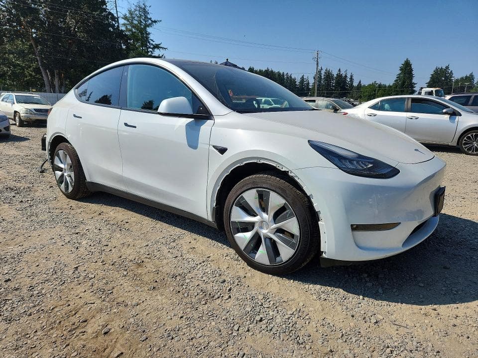 2023 TESLA MODEL Y 4