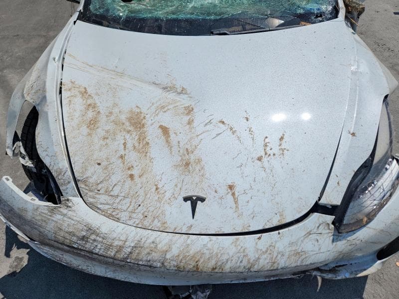 2021 TESLA MODEL 3 11