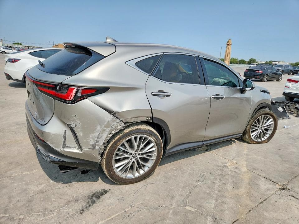2025 LEXUS NX 350 LUXURY 3