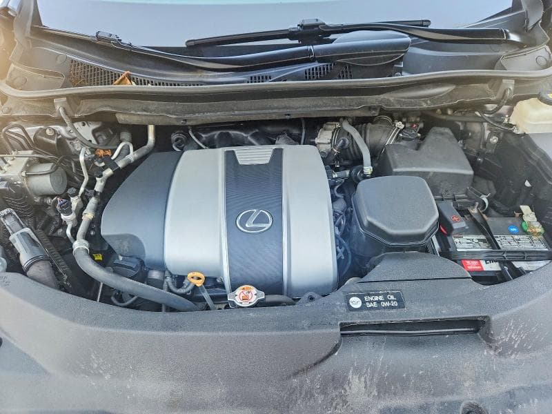 2020 LEXUS RX 350 F SPORT 12