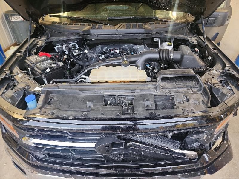 2025 FORD F150 XLT 11