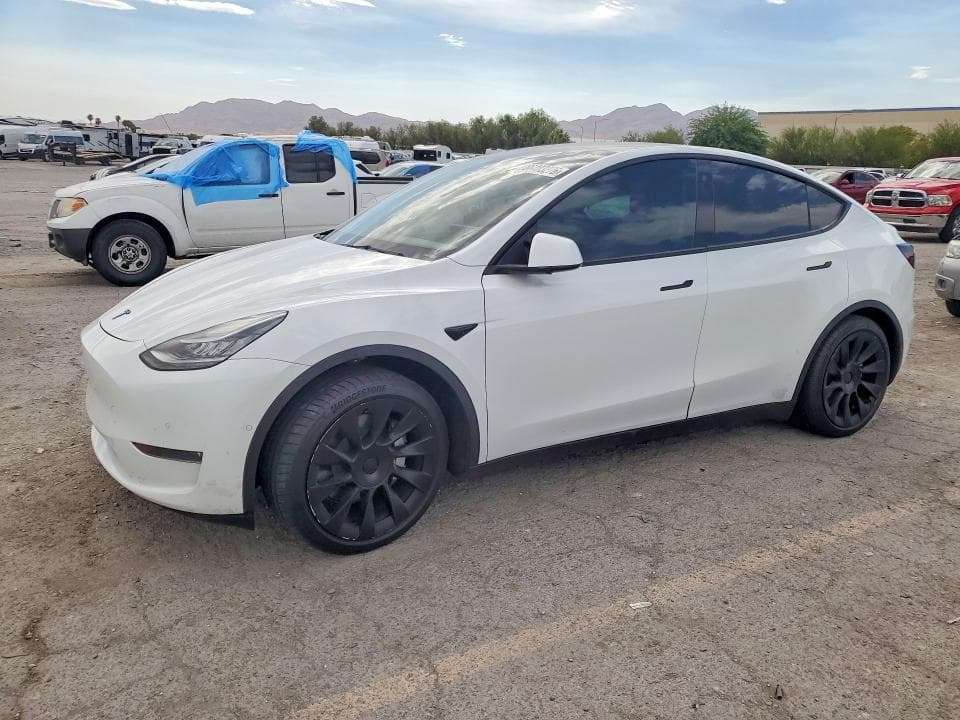 2022 TESLA MODEL Y - 1