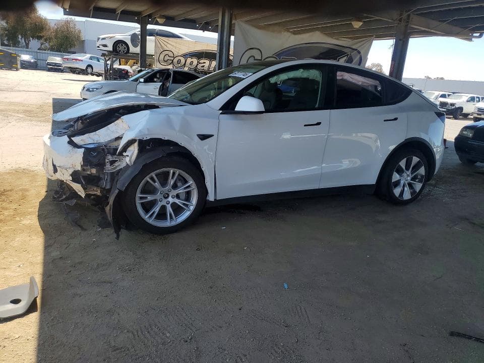2021 TESLA MODEL Y - 1