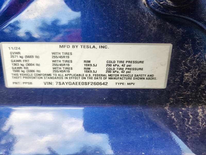 2025 TESLA MODEL Y 12