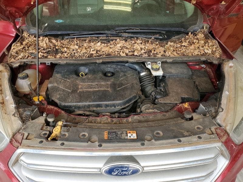 2017 FORD ESCAPE SE 11
