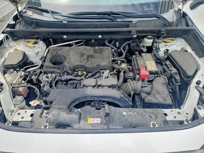 2019 TOYOTA RAV4 XLE 12