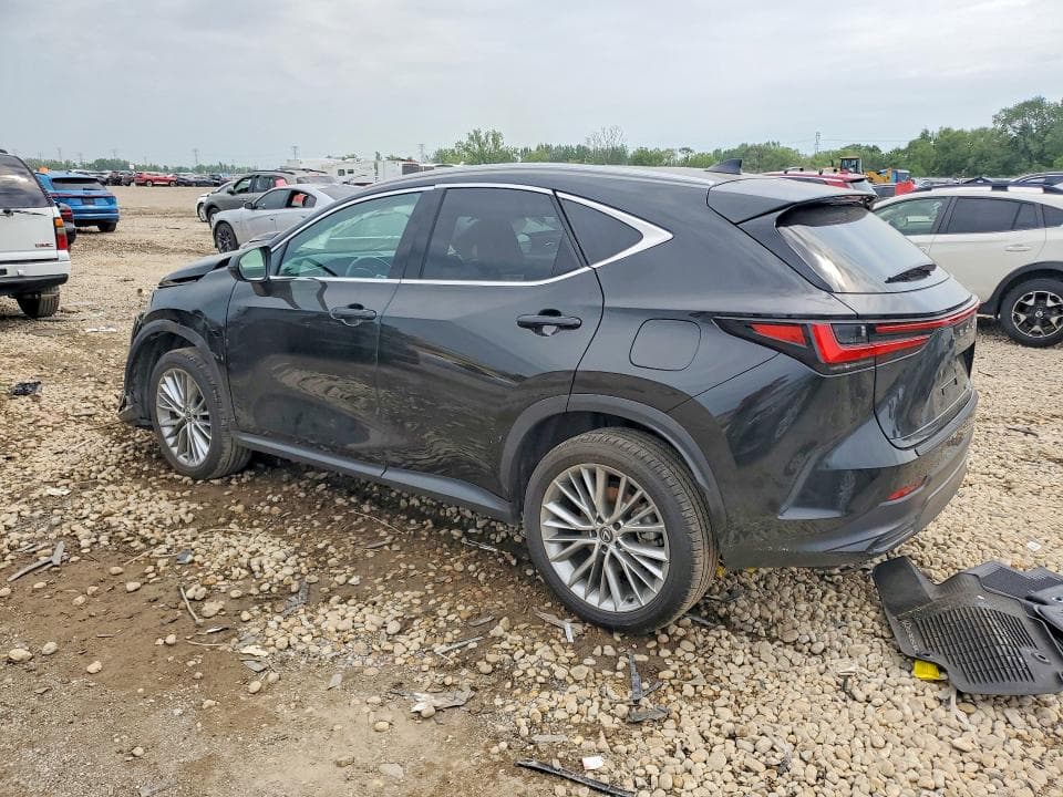 2025 LEXUS NX 350H PREMIUM 2