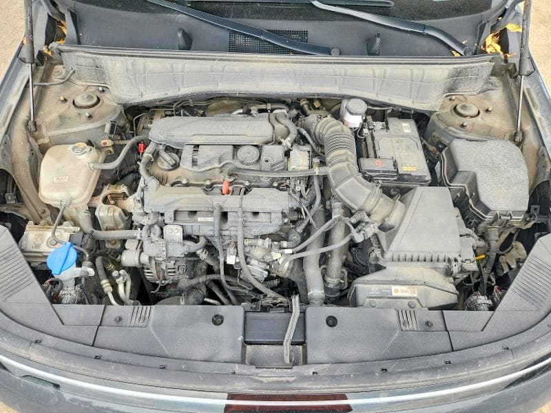 2024 HYUNDAI KONA LIMITED 11