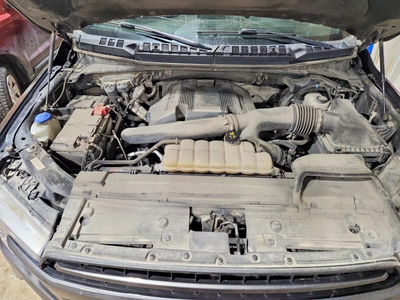 2019 FORD F150 SUPERCREW 11
