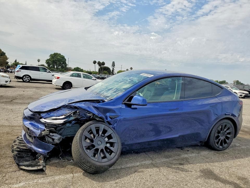 2021 TESLA MODEL Y - 1