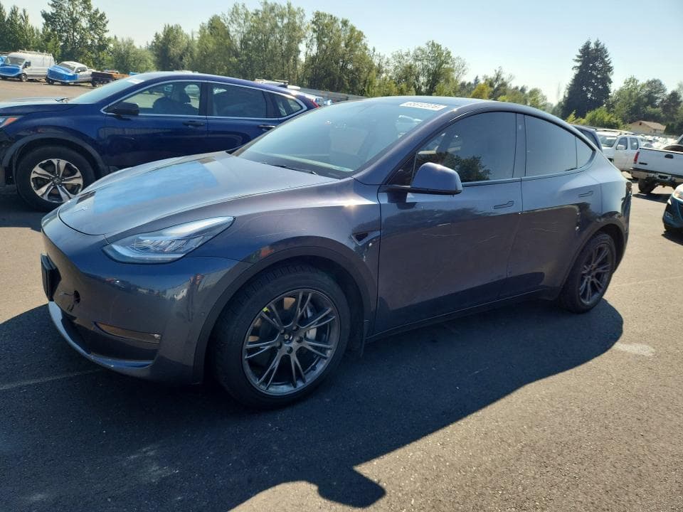 2021 TESLA MODEL Y - 1