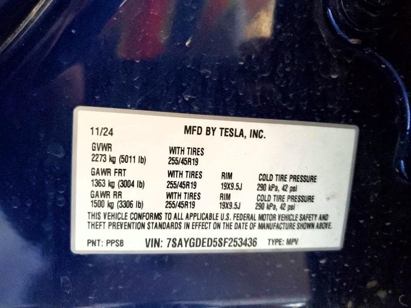 2025 TESLA MODEL Y 12