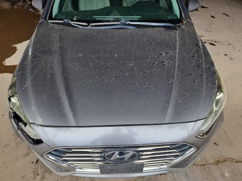 2019 HYUNDAI SONATA SE 11