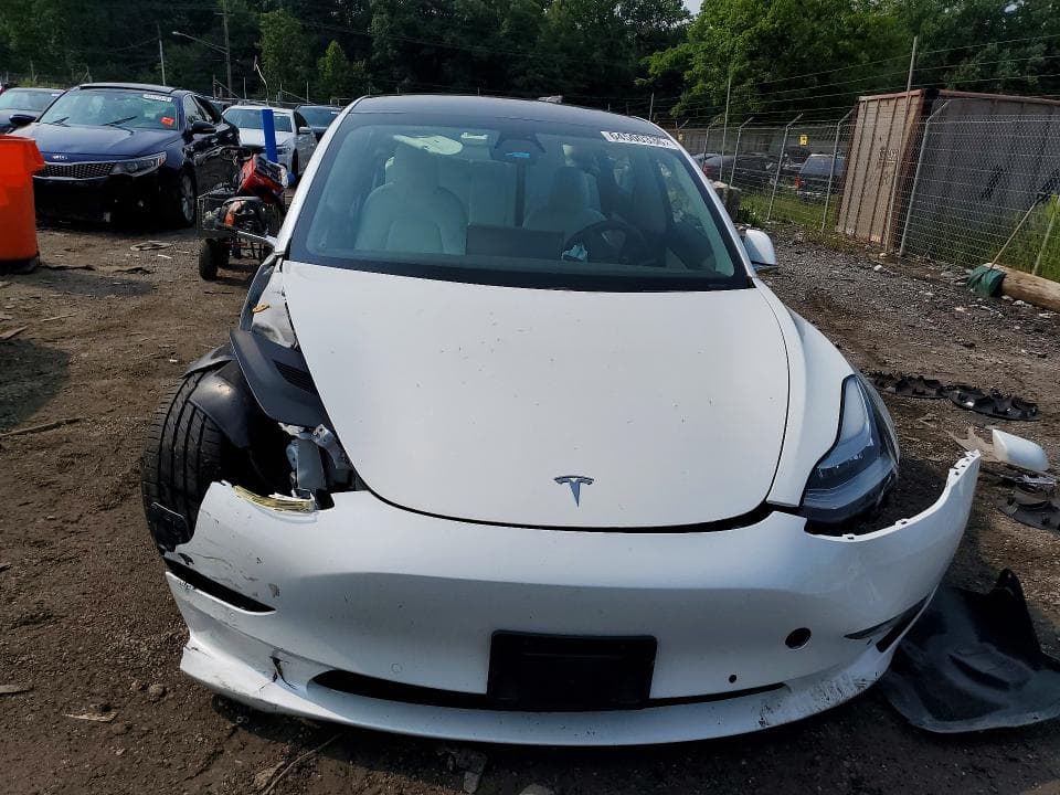 2019 TESLA MODEL 3 5