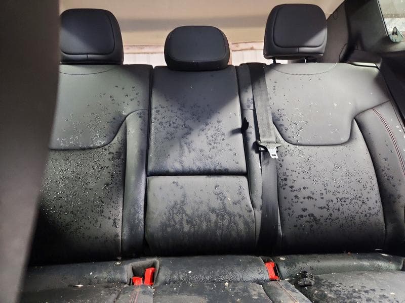 2019 JEEP RENEGADE TRAILHAWK 10