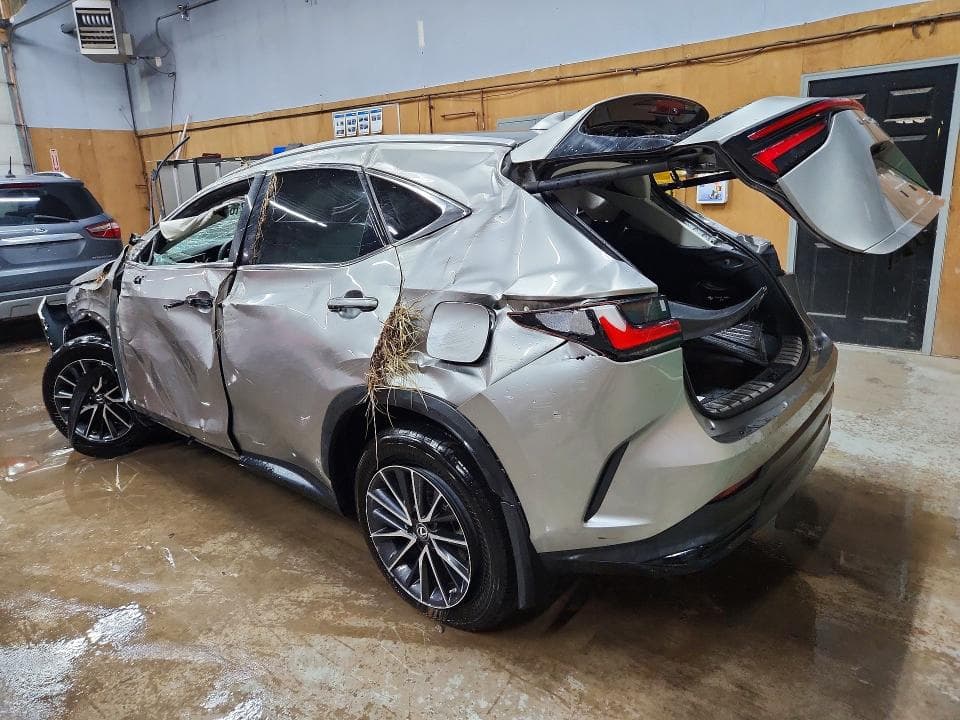 2022 LEXUS NX 350H 2
