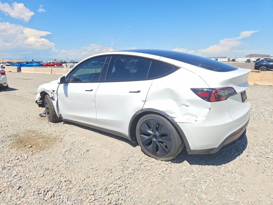 2024 TESLA MODEL Y 2