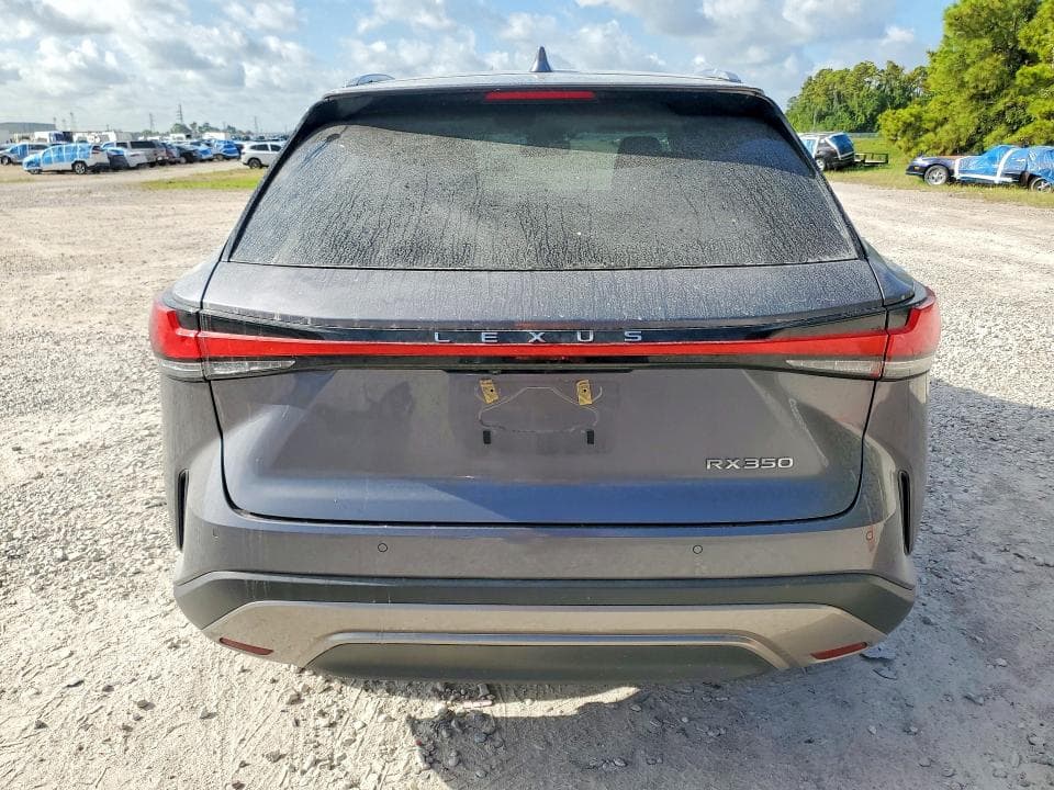 2023 LEXUS RX 350 LUXURY 6