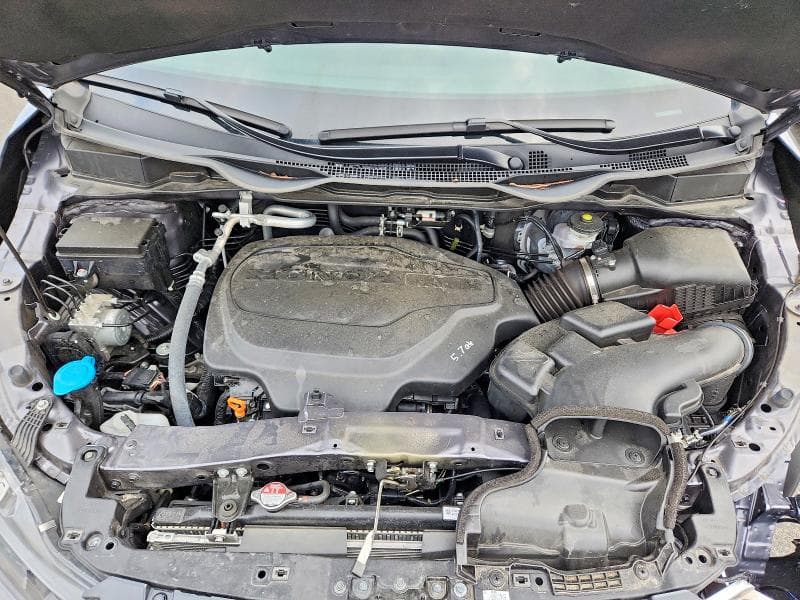 2025 HONDA ODYSSEY EXL 12