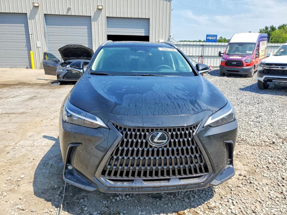 2025 LEXUS NX 250 PREMIUM 5