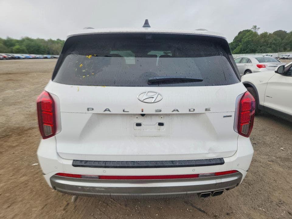 2025 HYUNDAI PALISADE CALLIGRAPHY 6