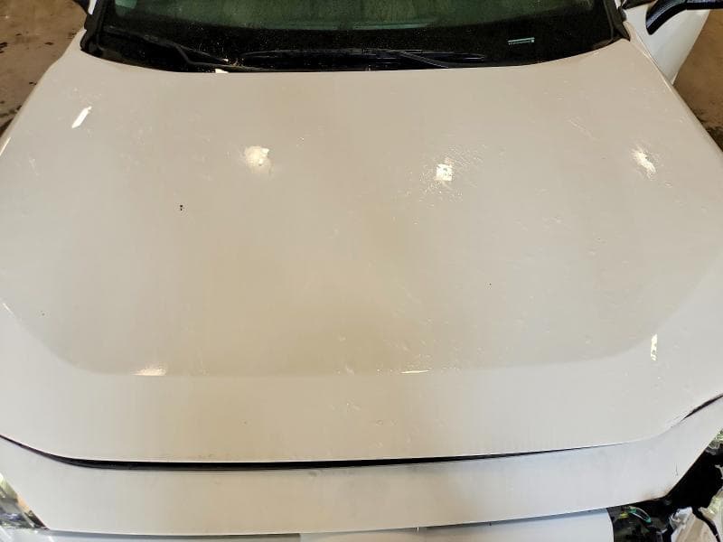2025 TOYOTA RAV4 XLE 12