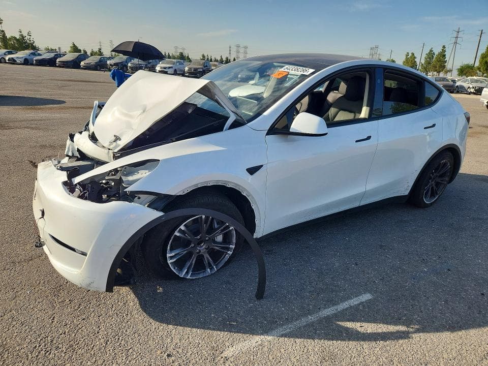 2025 TESLA MODEL Y - 1