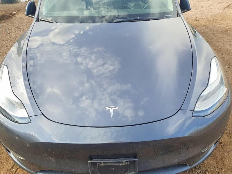 2023 TESLA MODEL Y 11