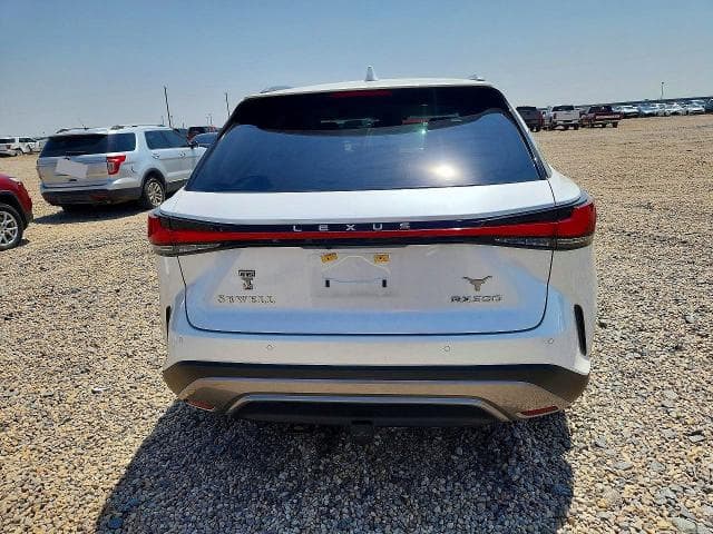 2025 LEXUS RX 350 LUXURY 6