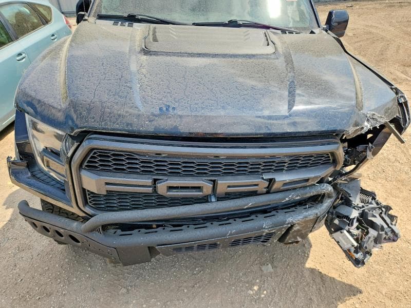 2019 FORD F150 RAPTOR 11