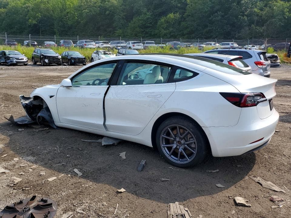 2019 TESLA MODEL 3 2